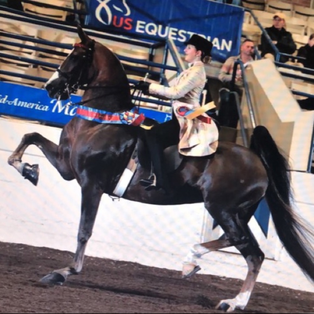 Meet your Posher, Nora